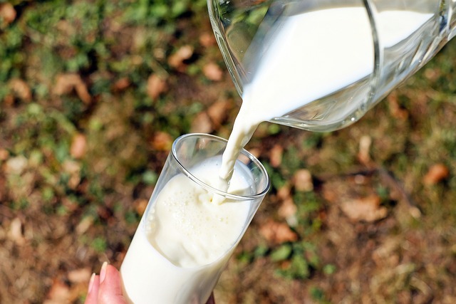 Les effets du lait et des produits laitiers sur notre santé