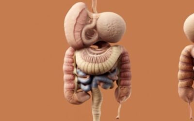 régime pauvre FODMAP