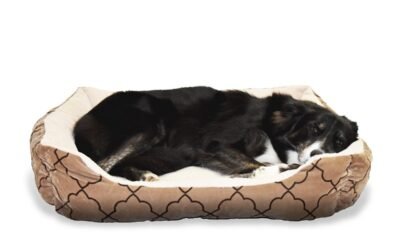 Un chien noir allongé paisiblement dans un coussin de lit pour chien