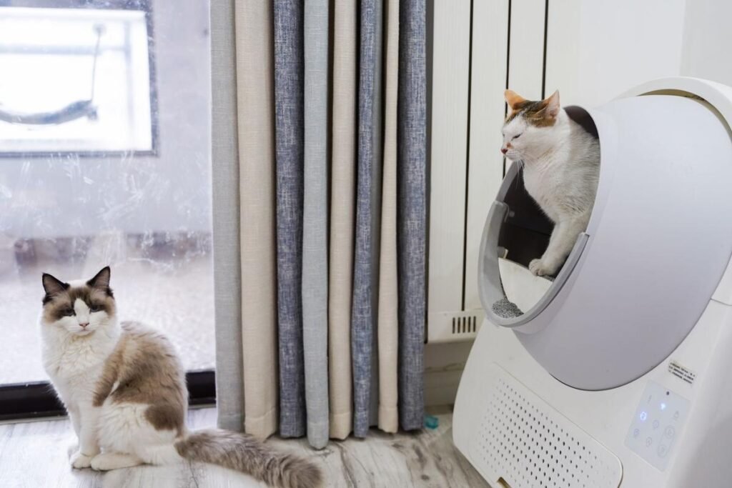 Votre chat ignore sa litière fermée : c&rsquo;est son besoin de fuite