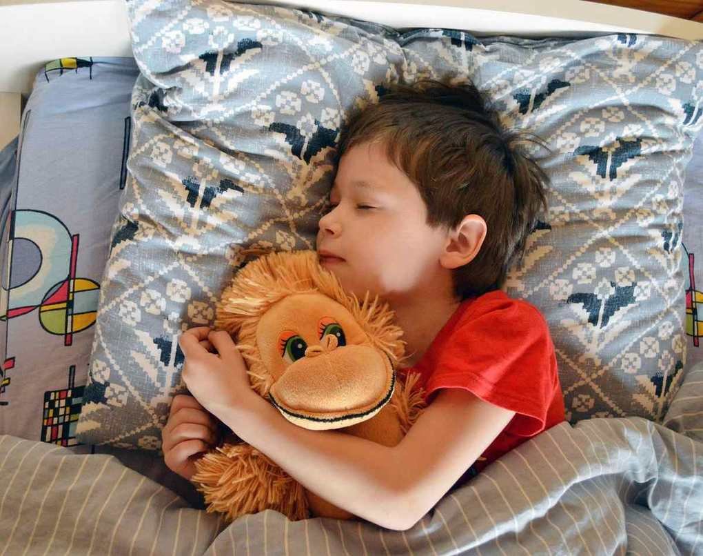 Un petit garçon dort paisiblement en serrant son doudou Un petit garçon dort paisiblement en serrant son doudou